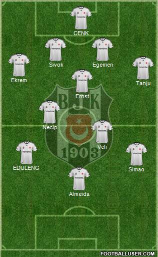 Besiktas JK Formation 2012