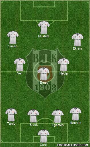 Besiktas JK Formation 2012