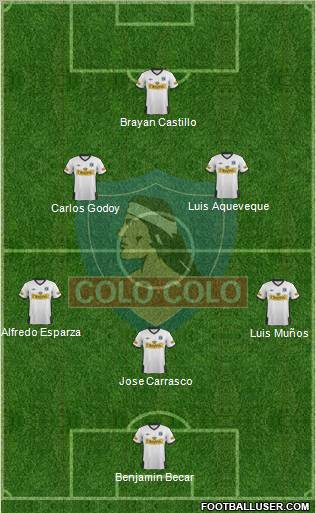 CSD Colo Colo Formation 2012