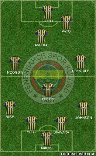Fenerbahçe SK Formation 2012