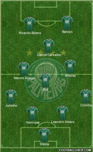SE Palmeiras Formation 2012