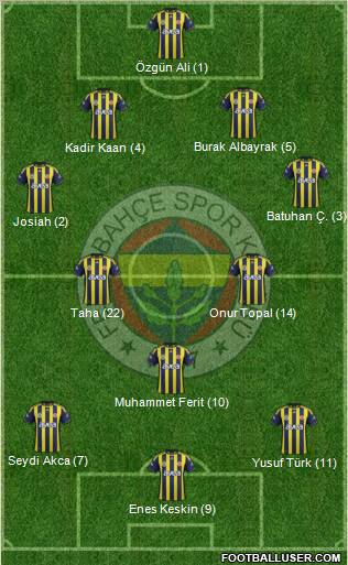Fenerbahçe SK Formation 2012