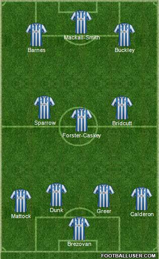 Brighton and Hove Albion Formation 2012