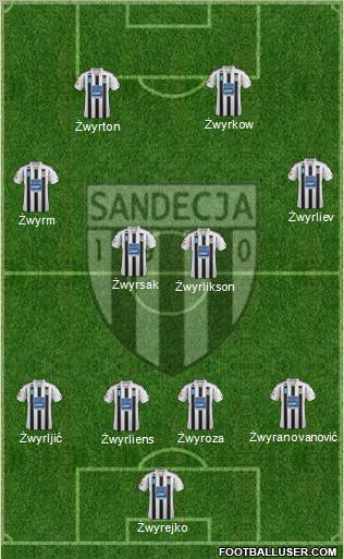 Sandecja Nowy Sacz Formation 2012