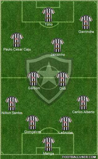 Botafogo FR Formation 2012