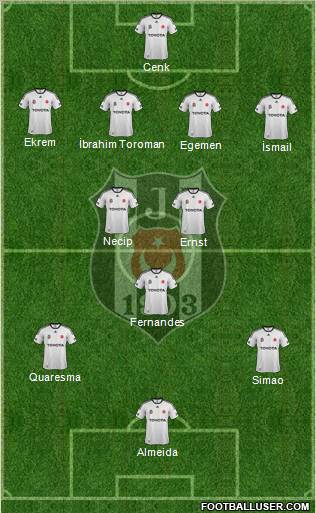 Besiktas JK Formation 2012