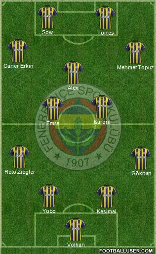 Fenerbahçe SK Formation 2012