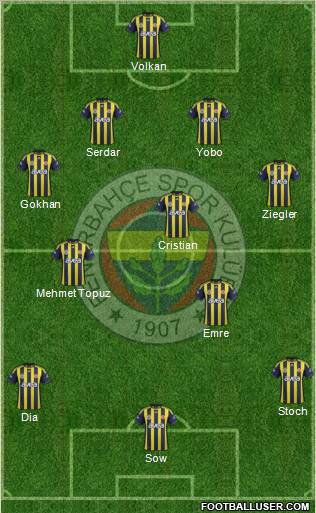 Fenerbahçe SK Formation 2012