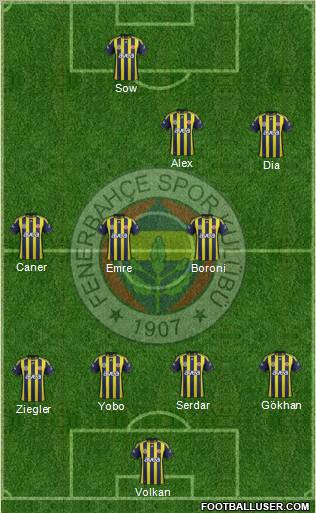 Fenerbahçe SK Formation 2012