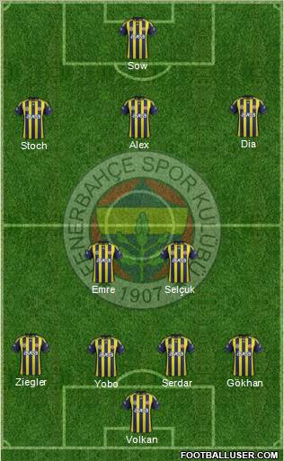 Fenerbahçe SK Formation 2012