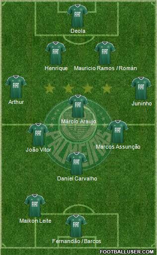 SE Palmeiras Formation 2012