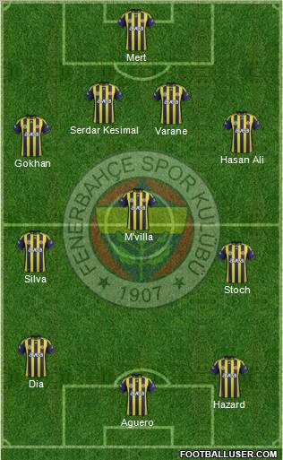 Fenerbahçe SK Formation 2012