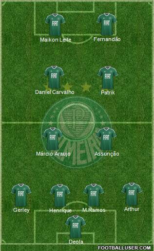 SE Palmeiras Formation 2012