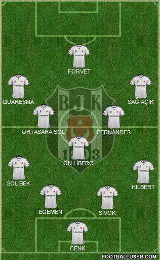 Besiktas JK Formation 2012