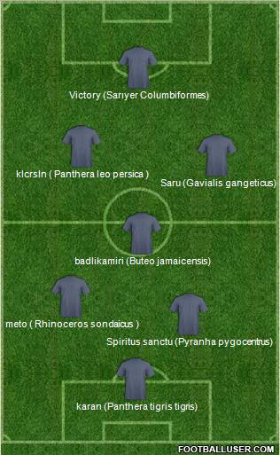 Europa League Team Formation 2012