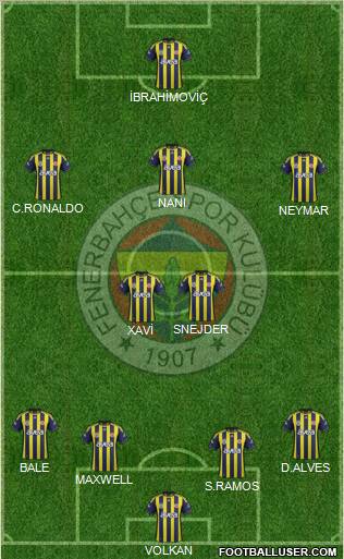 Fenerbahçe SK Formation 2012
