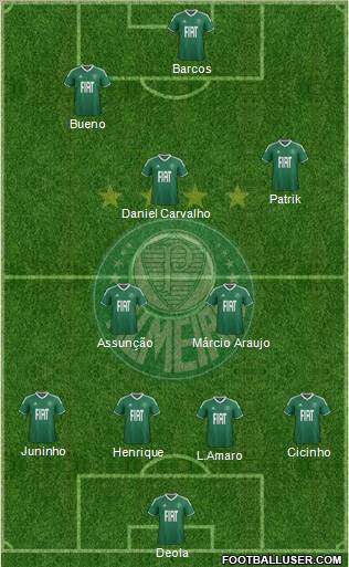 SE Palmeiras Formation 2012