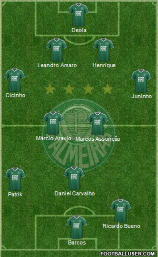 SE Palmeiras Formation 2012