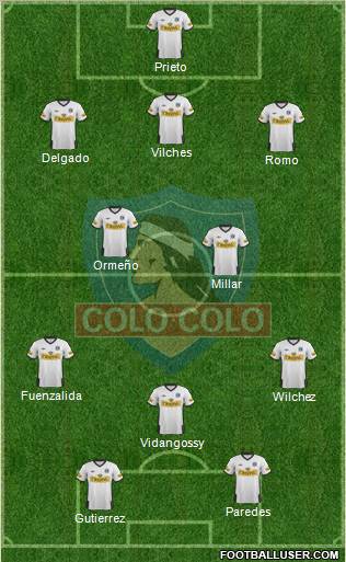 CSD Colo Colo Formation 2012