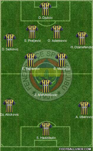 Fenerbahçe SK Formation 2012