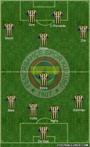 Fenerbahçe SK Formation 2012