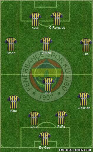 Fenerbahçe SK Formation 2012