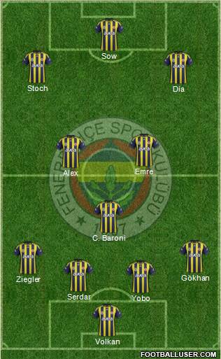 Fenerbahçe SK Formation 2012