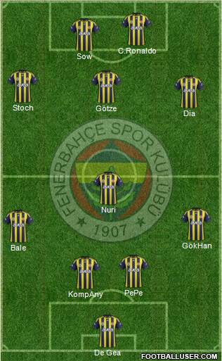 Fenerbahçe SK Formation 2012