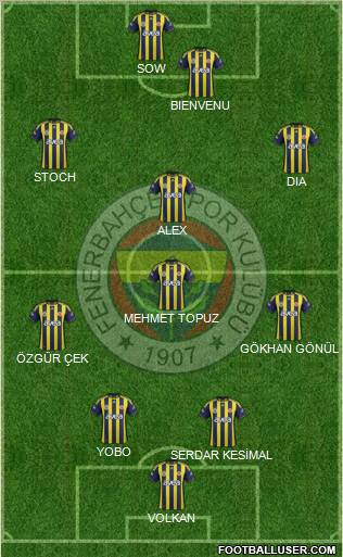 Fenerbahçe SK Formation 2012