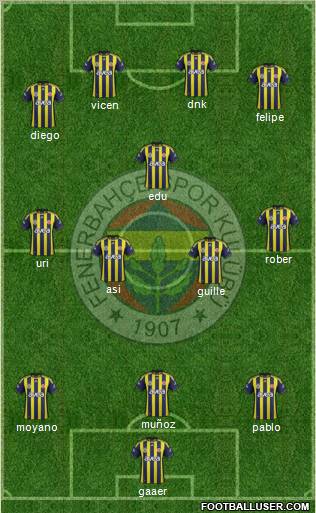 Fenerbahçe SK Formation 2012