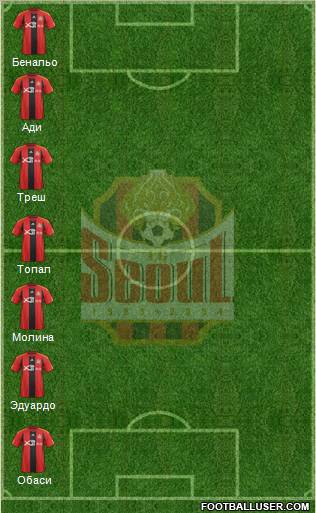 FC Seoul Formation 2012