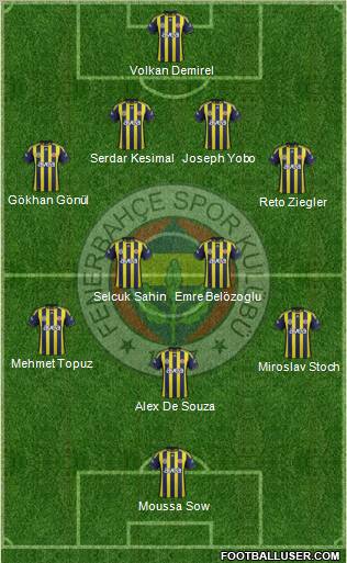 Fenerbahçe SK Formation 2012