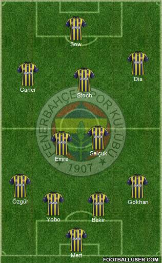Fenerbahçe SK Formation 2012
