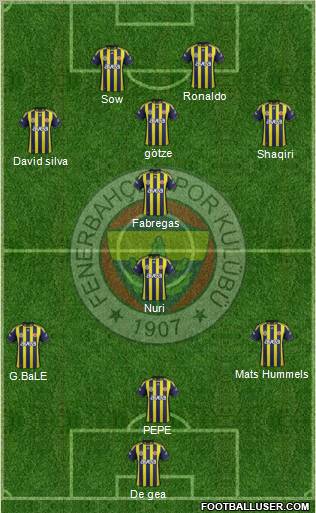 Fenerbahçe SK Formation 2012