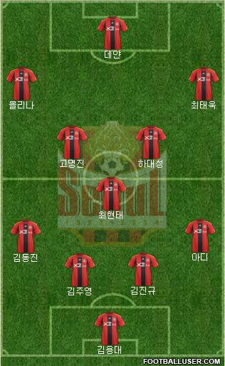 FC Seoul Formation 2012