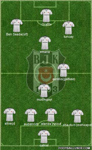 Besiktas JK Formation 2012