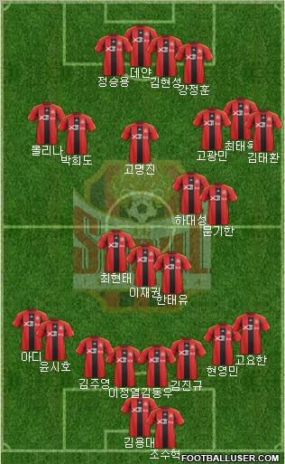 FC Seoul Formation 2012