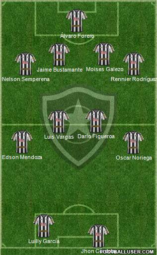 Botafogo FR Formation 2012