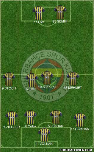 Fenerbahçe SK Formation 2012