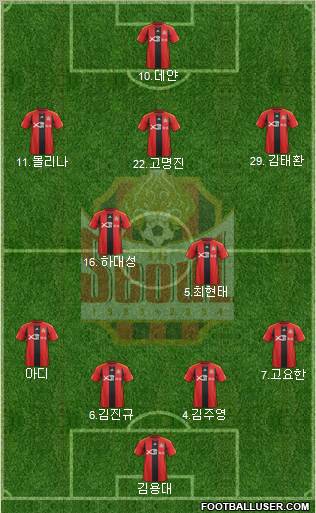 FC Seoul Formation 2012