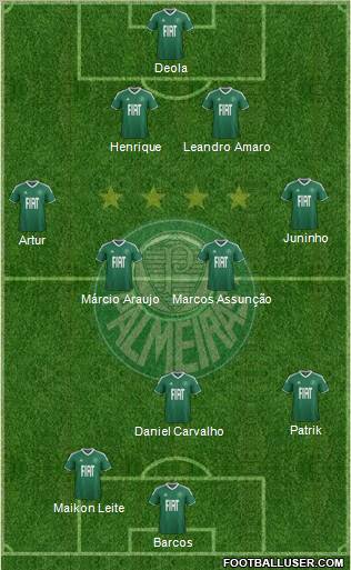 SE Palmeiras Formation 2012