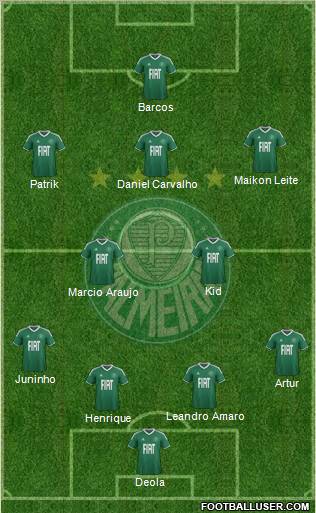 SE Palmeiras Formation 2012