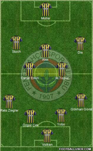 Fenerbahçe SK Formation 2012