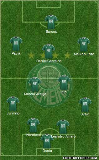 SE Palmeiras Formation 2012