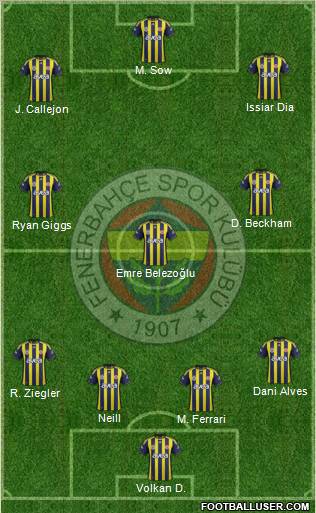 Fenerbahçe SK Formation 2012