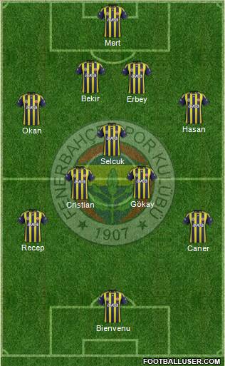 Fenerbahçe SK Formation 2012