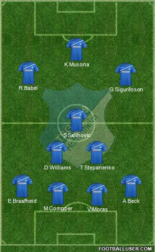 TSG 1899 Hoffenheim Formation 2012