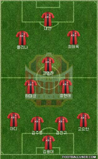 FC Seoul Formation 2012