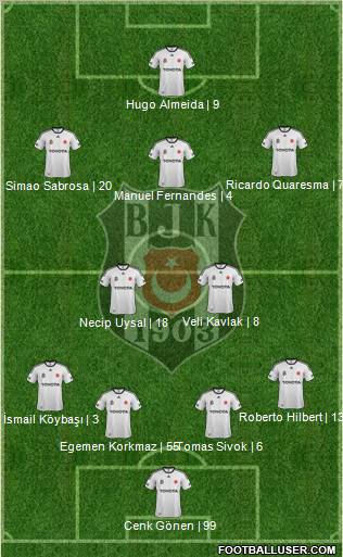 Besiktas JK Formation 2012