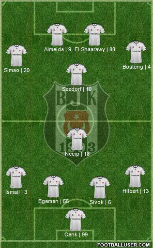 Besiktas JK Formation 2012
